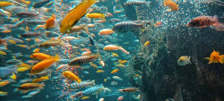 一支百合智慧酒店(明珠广场安医二附院店)图片