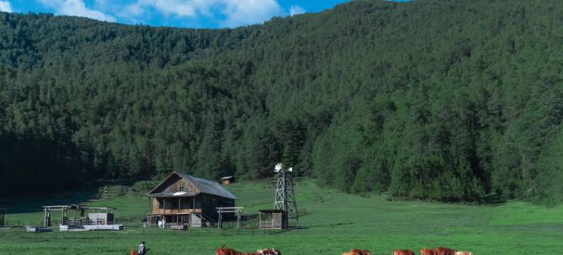 十三度风四季帐篷营地图片