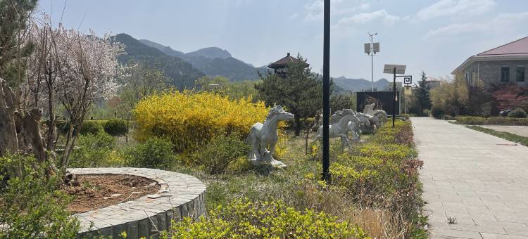 黄花溪民宿图片