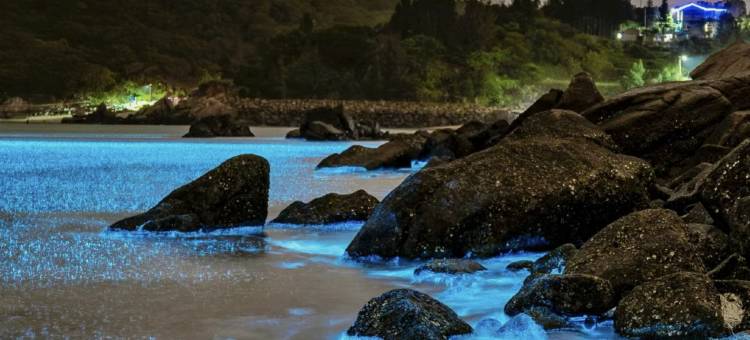 岚岛之恋客栈图片