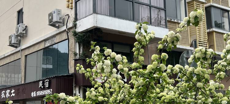武夷山裴氏民宿图片