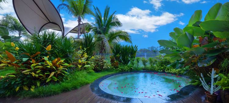 爱丽丝·秘境 Pure Soul|设计师奢享湖景民宿图片