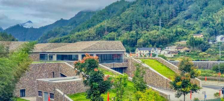 遂昌雷迪森怿曼酒店图片