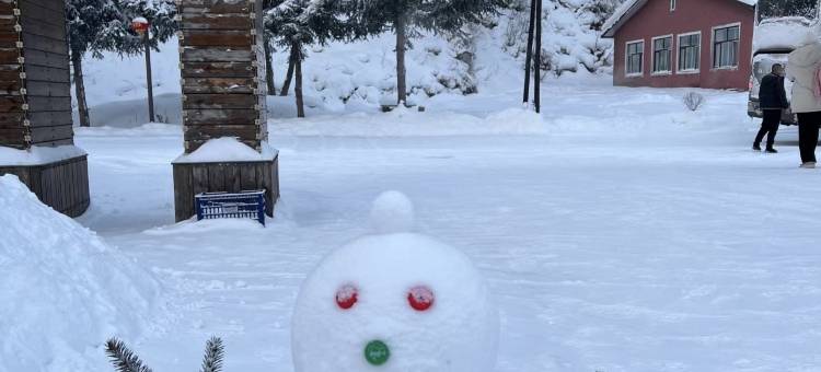 雪谷楠楠民宿图片
