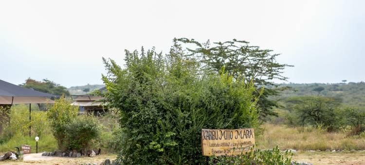 Mtito野生动物营地(Mtito Safari Camp)图片