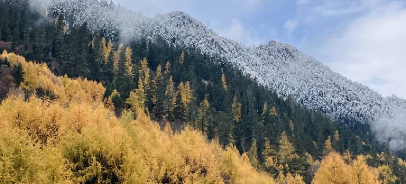 雪莲花富氧观景酒店(拉萨布达拉宫店)图片