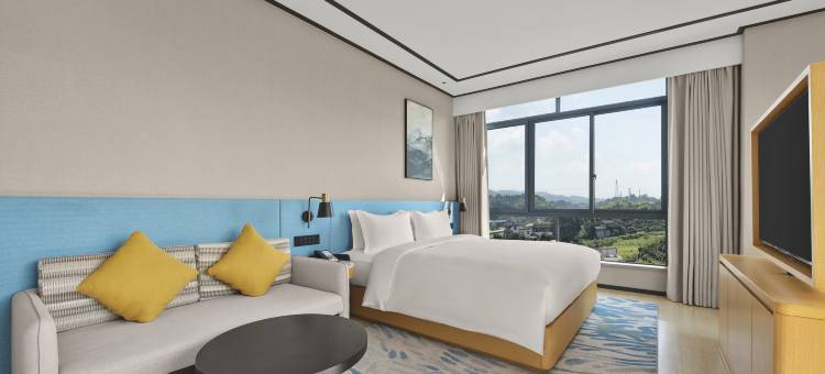 安江邵泽希尔顿花园酒店图片