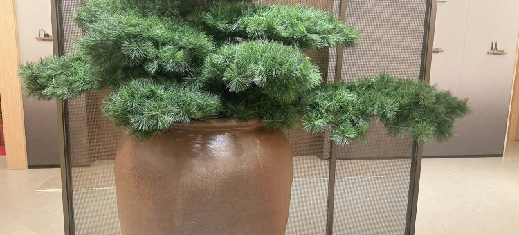 全季酒店(六安红街步行街店)图片