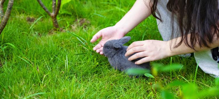 橄榄宿·雨林设计生态美宿(景洪傣族园店)图片