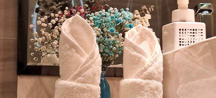 希岸·轻雅酒店(乐山大佛张公桥好吃街店)图片