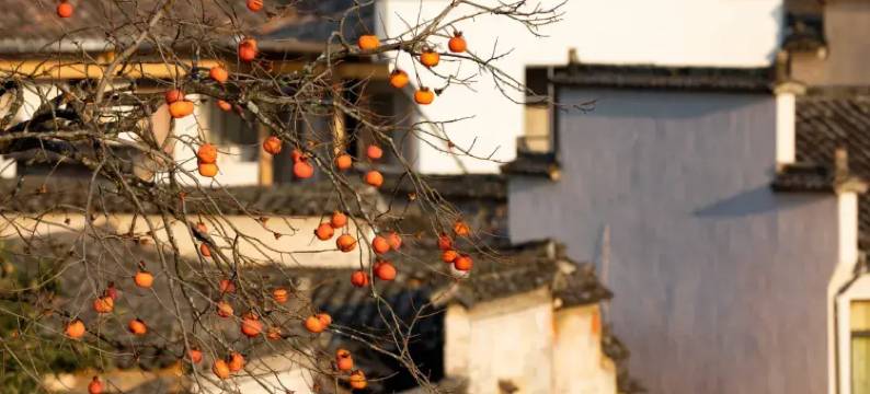 宏村栖梧·旅行精选徽派景观民宿图片