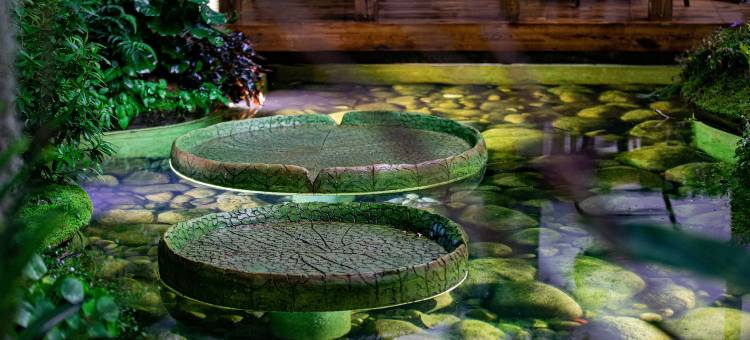 花语水岸·Alice in Wonderland客栈(爱丽丝仙境总店)图片