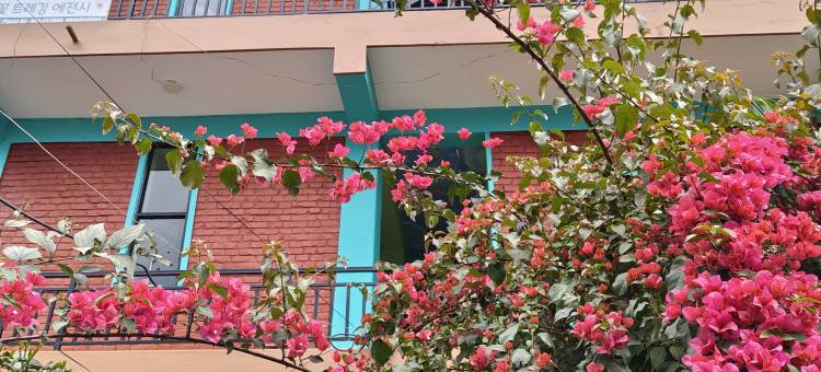 哈利旅馆及餐厅(Harry Guest House & Restaurant)图片