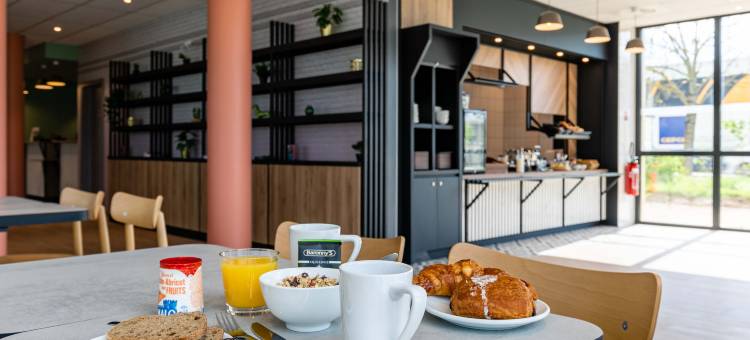 阿尔萨斯塞莱斯塔住宿加早餐酒店(B&B Hotel Sélestat Centre-Alsace)图片