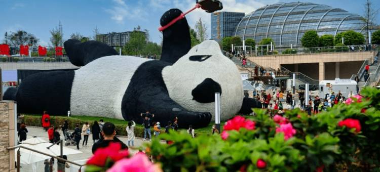 西岸酒店(都江堰融创乐园熊猫谷店)图片