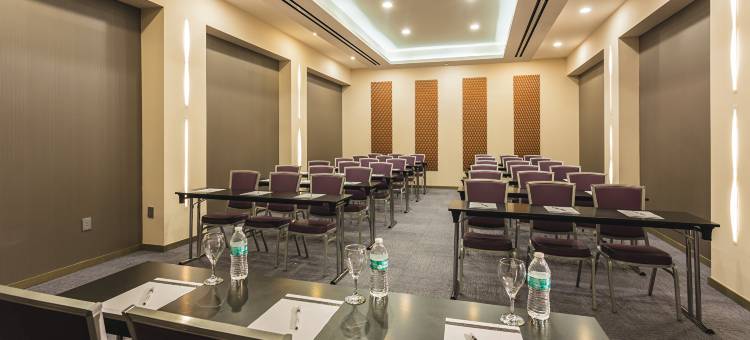 纽约时代广场悦宜湾广场酒店(Riu Plaza New York Times Square)图片