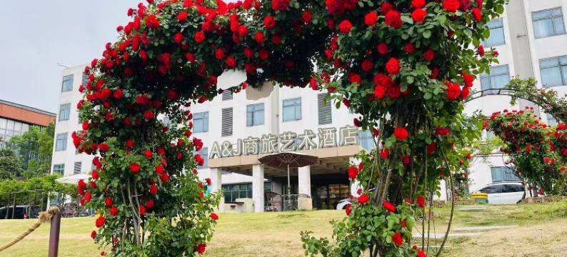A&J商旅艺术酒店(南京徐庄苏宁总部地铁站)图片