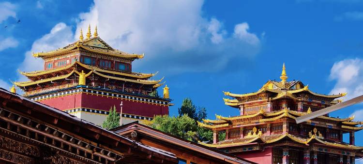 香缇娅·左岸法式设计师民宿(独克宗古城大佛寺转经筒店)图片