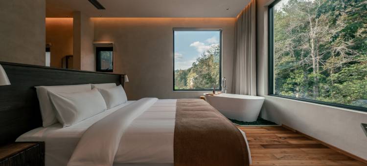 山隐一树民宿(景德镇陶瓷大学店)图片