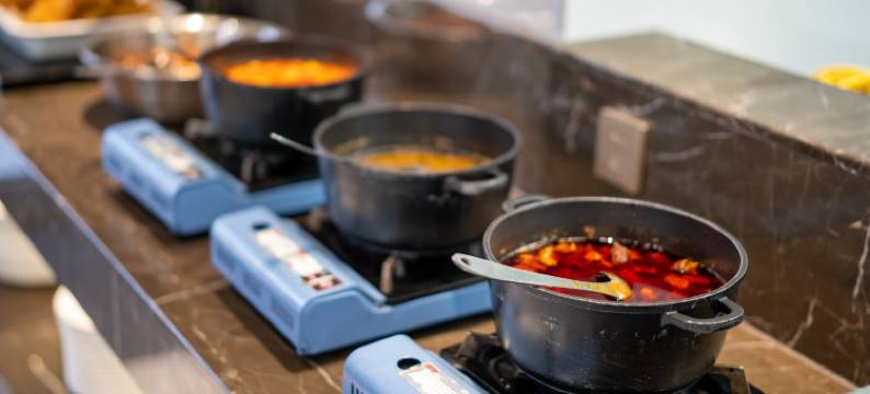 普兰平措康桑富氧酒店图片