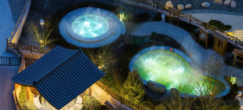 岐伯·温泉度假区酒店图片