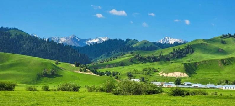 那拉提在野美宿(那拉提景区店)图片