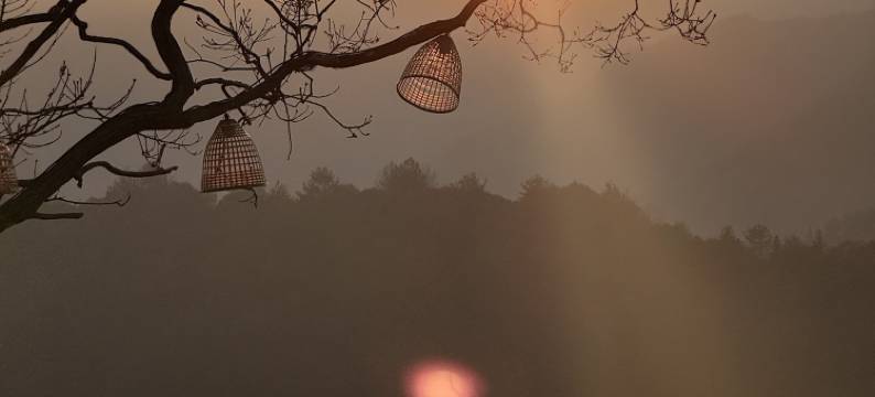 仙霞居民宿(衢州仙霞湖店)图片