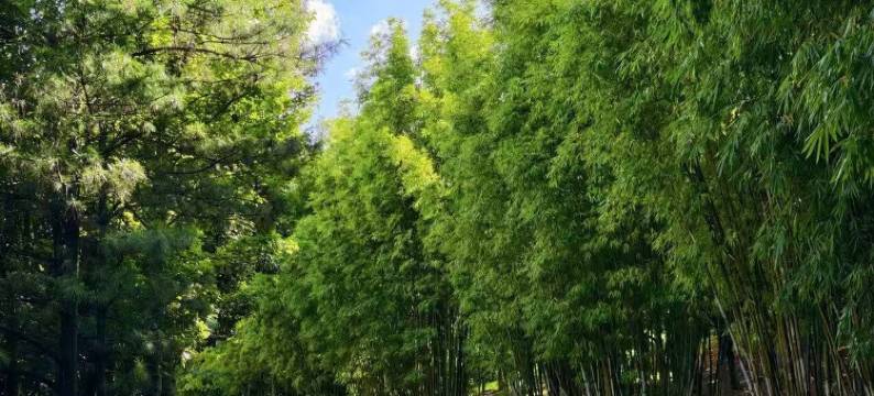 大理慢海卓悦·MAN HAI设计师酒店(大理高铁站洱海公园店)图片