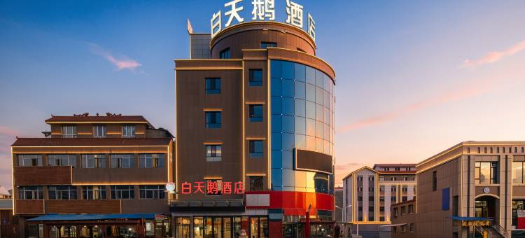 巴音布鲁克白天鹅酒店图片
