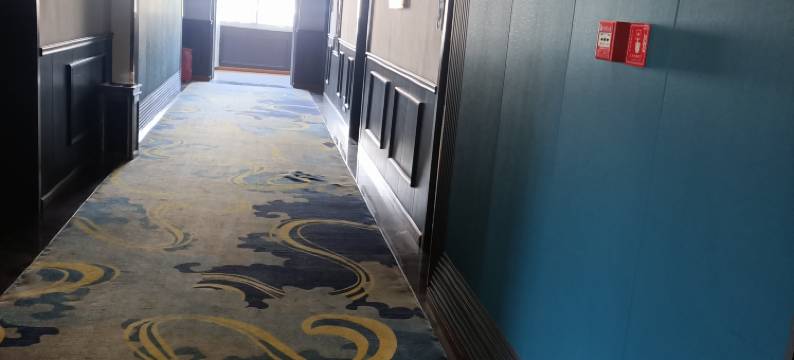 荣县香榭丽舌大酒店图片