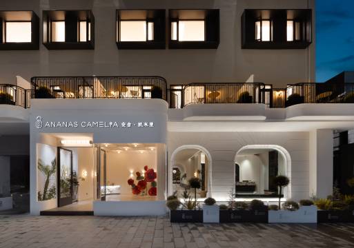 AnanasCamelia安舍·凯米里酒店(东风广场南屏步行街店)图片