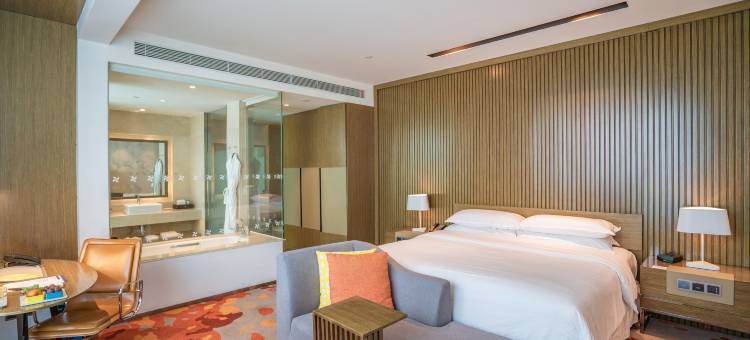 长春高新益田福朋喜来登酒店图片