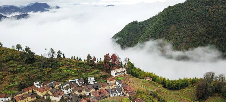 松阳溪山房民宿图片