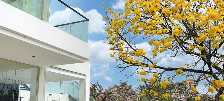 清远泉现温泉民宿图片