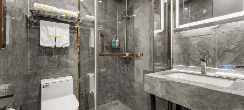 天津龙禧盛精品酒店(天津西站店)图片