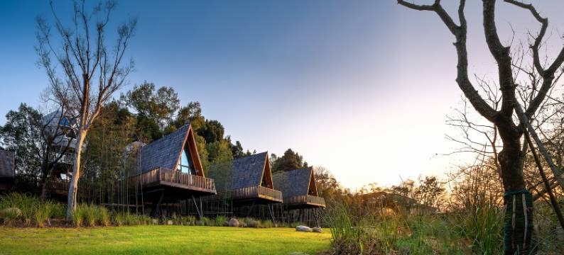 婺源树小蛙度假酒店图片