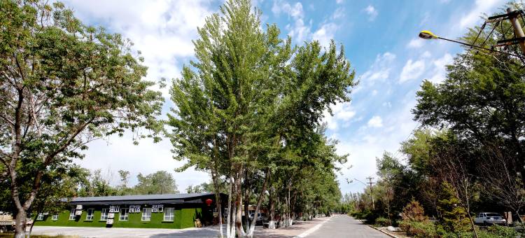 油山民宿(独库公路店)图片