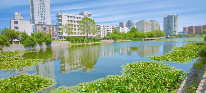 禾枫酒店(鸭绿江断桥店)图片