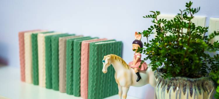 蚌埠湖边雅舍民宿(绿地中央广场店)图片