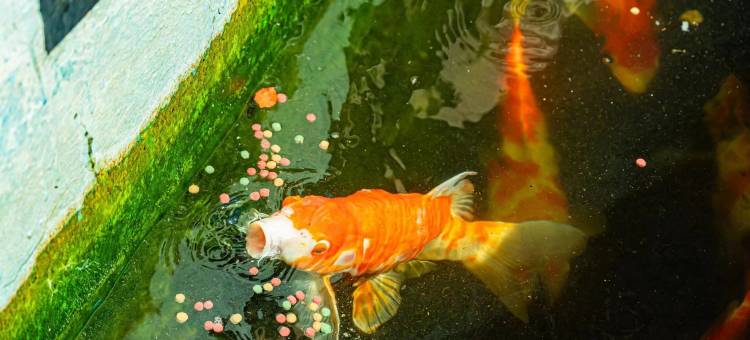 山海云宿(威海半月湾沙滩环海路店)图片