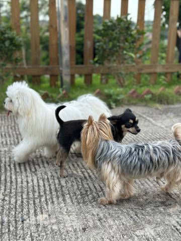 清远月景湾度假民宿图片