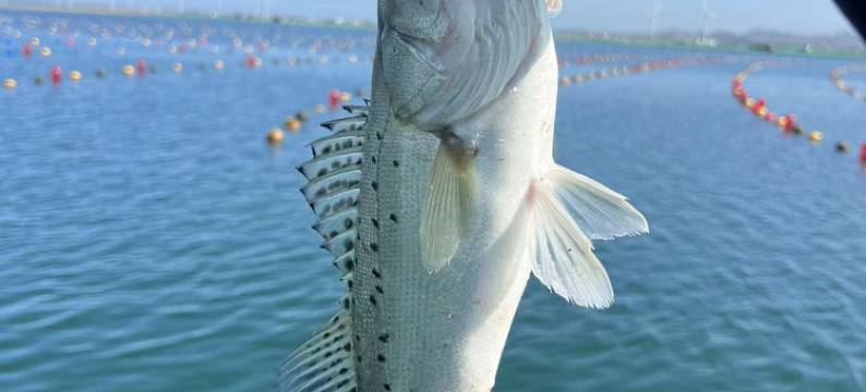 A+智慧影院酒店(荣成樱花湖店)图片