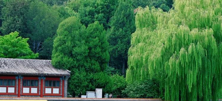 花筑·北京仁和轩公寓酒店(北师大积水潭店)图片