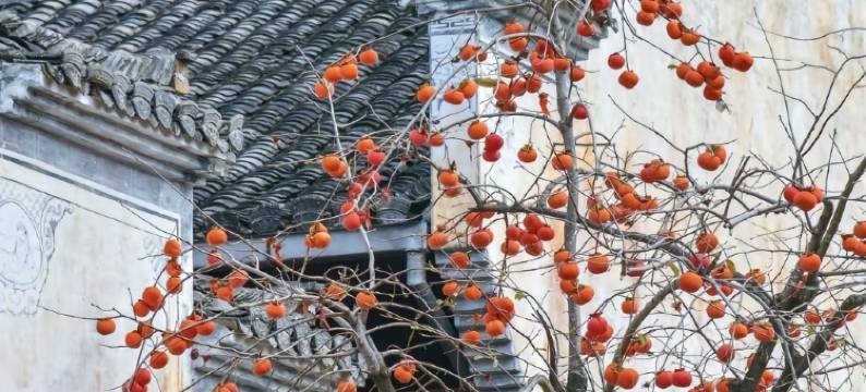 岭居·青石小巷民宿(篁岭风景区店)图片