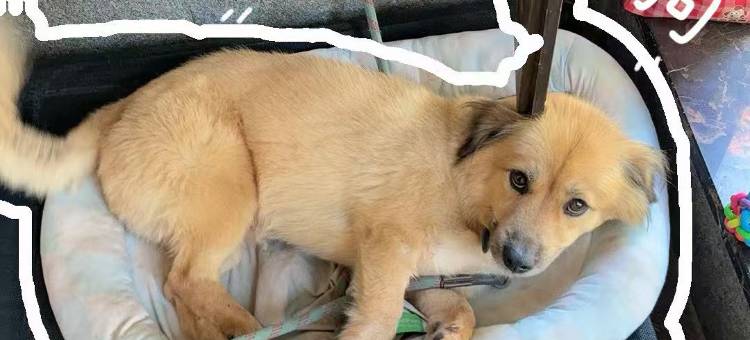 南浔云栖澜亭民宿图片