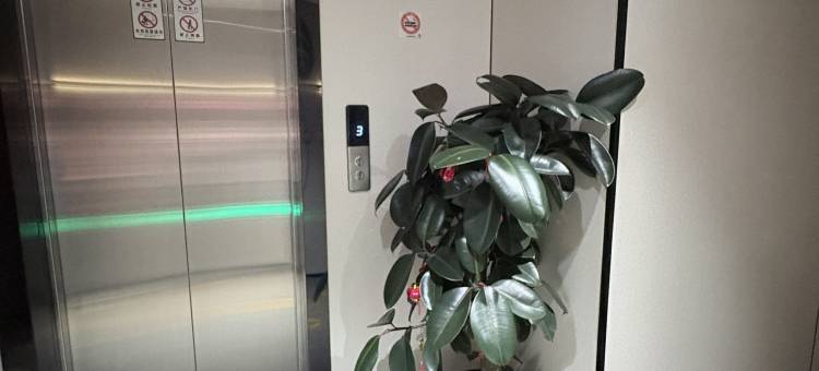 青季酒店MINI(上海松江站店)图片