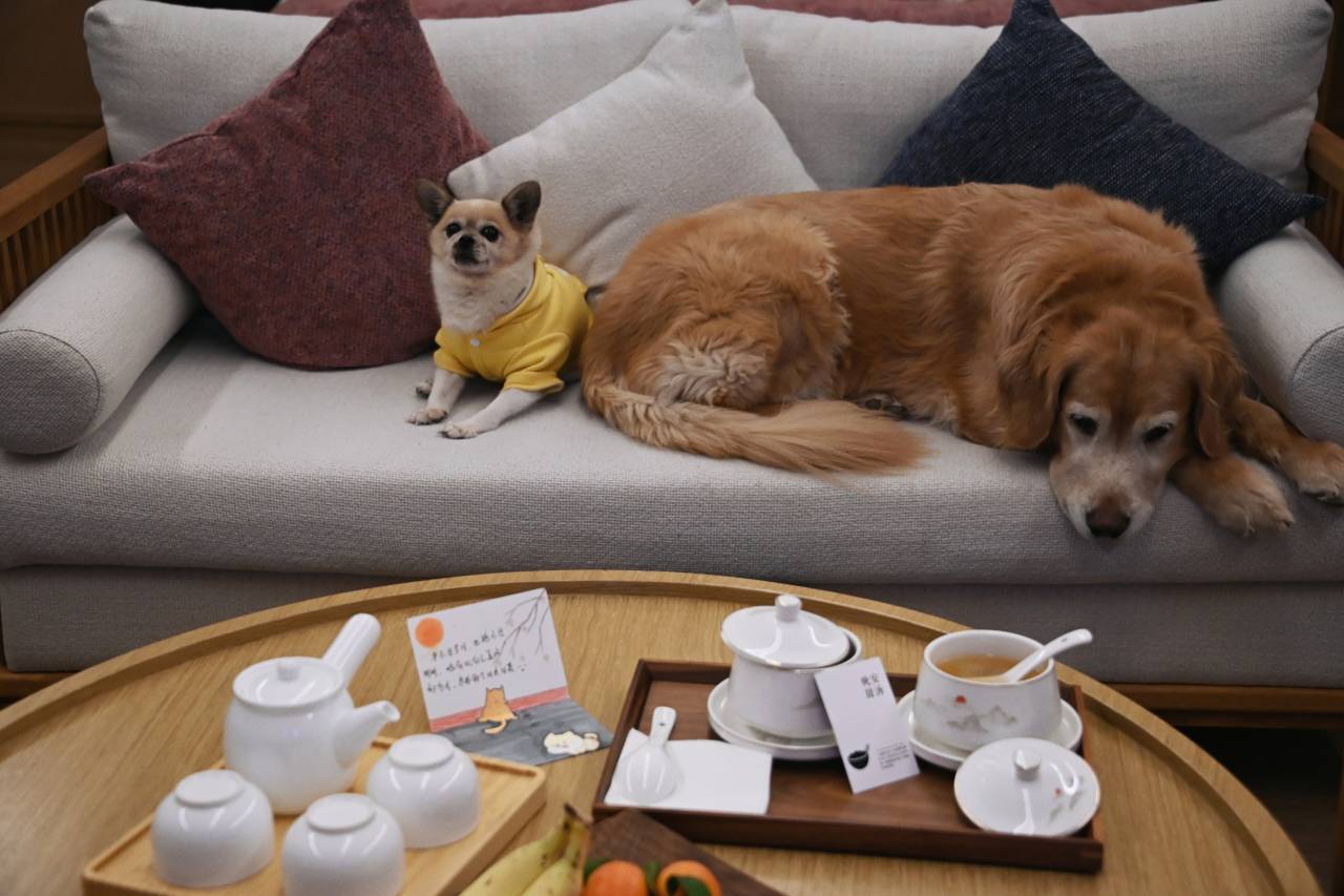 巴中恩阳花间堂·米仓道图片