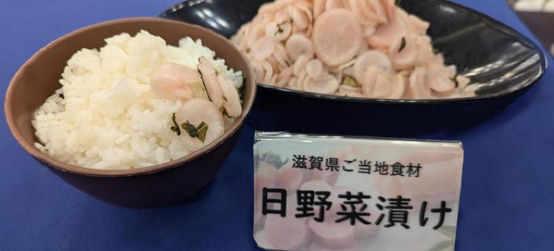 东横INN琵琶湖线南草津站西口(Toyoko Inn Biwako Sen Minami Kusatsu Eki Nishi Guchi)图片