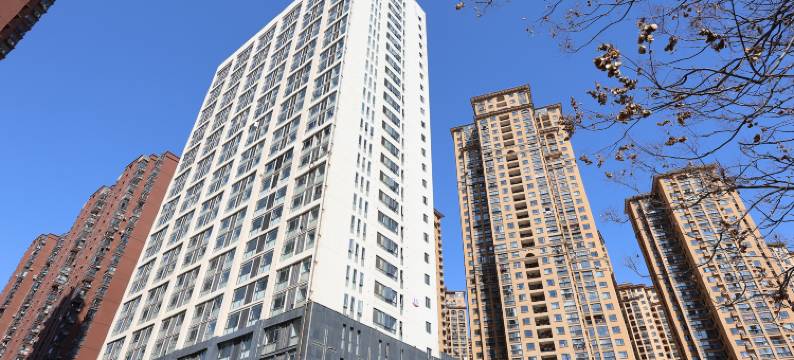 泊悦智能湖景民宿(龙阳村地铁站店)图片