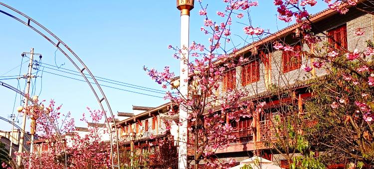 会理在水宜芳酒店图片